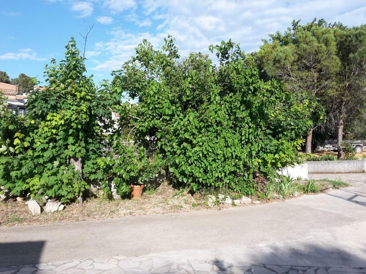 Leucate,Dans La Verdure,Studio Caverne En Pierre Dans Propriete Securisee Daire Dış mekan fotoğraf